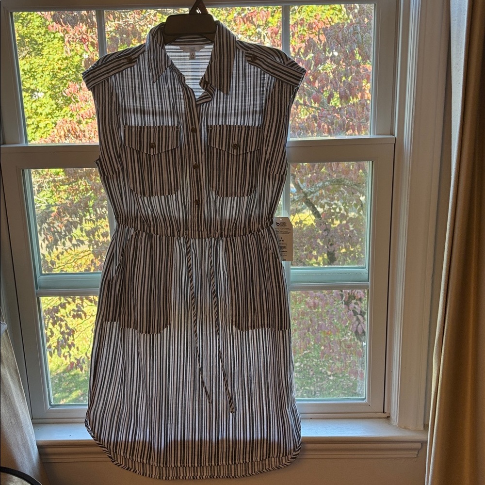 Time and Tru Black and White Striped Shirt Dress
